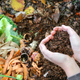 Image for article titled Ask ‘The Onion’: How To Go Zero Waste
